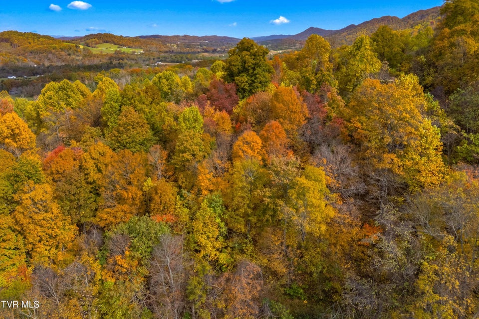 Photo #9: 853 Twin Ponds Lane