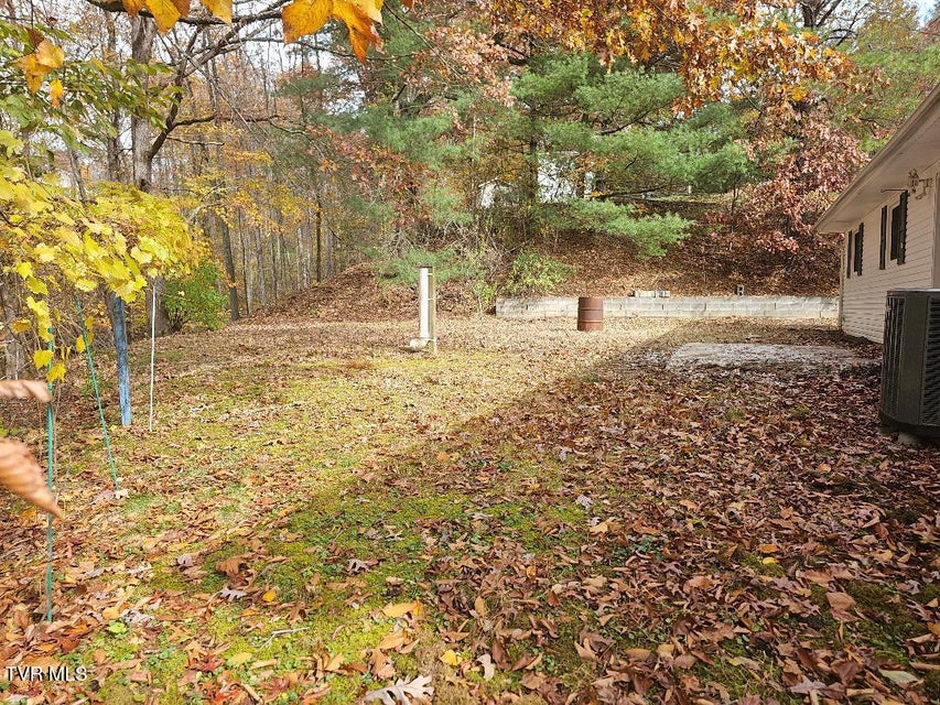 Photo #41: 175 Indian Springs Drive