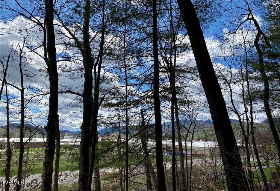 Photo #3: Tbd Rhea Road