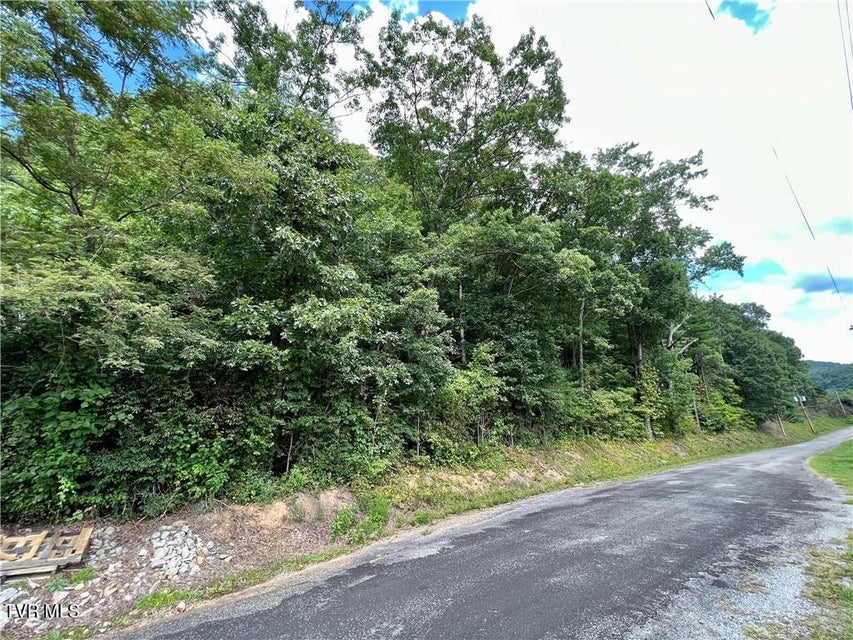 Photo #4: Tbd Rhea Road