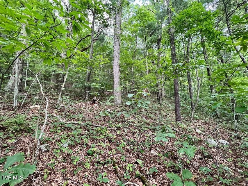 Photo #6: Tbd Rhea Road