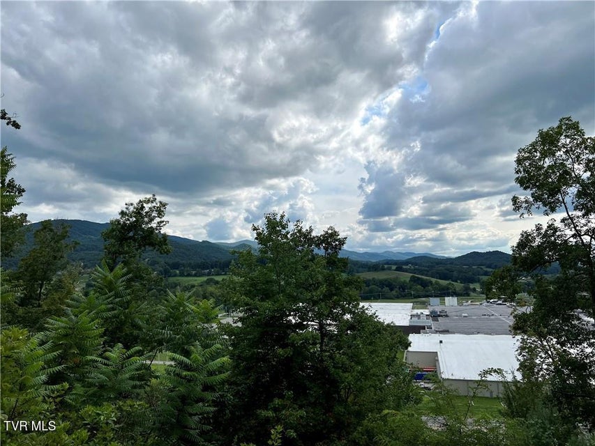 Photo #7: Tbd Rhea Road