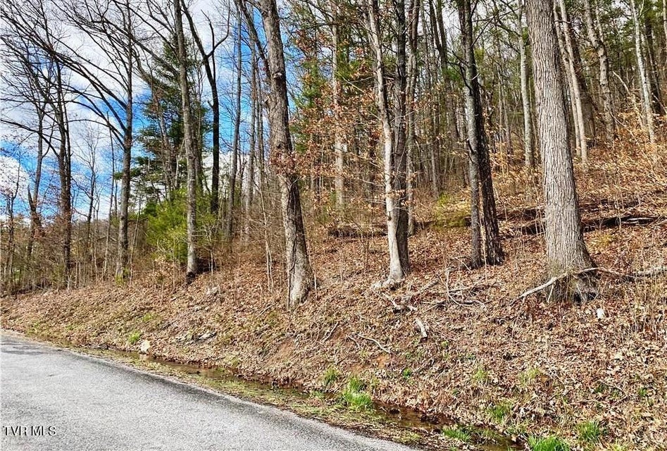 Photo #8: Tbd Rhea Road