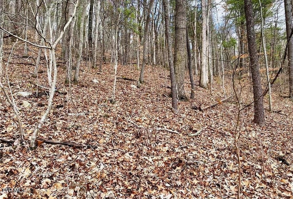 Photo #9: Tbd Rhea Road