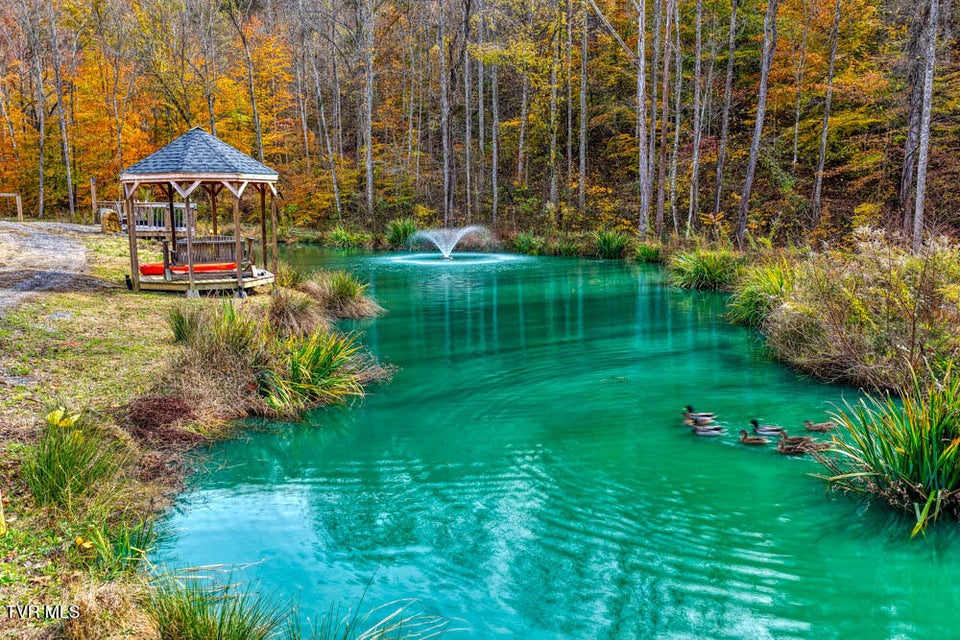 Photo #29: 3858 Beech Creek Road