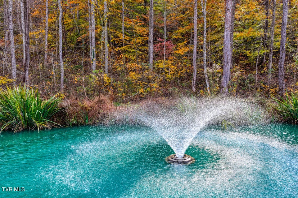 Photo #35: 3858 Beech Creek Road