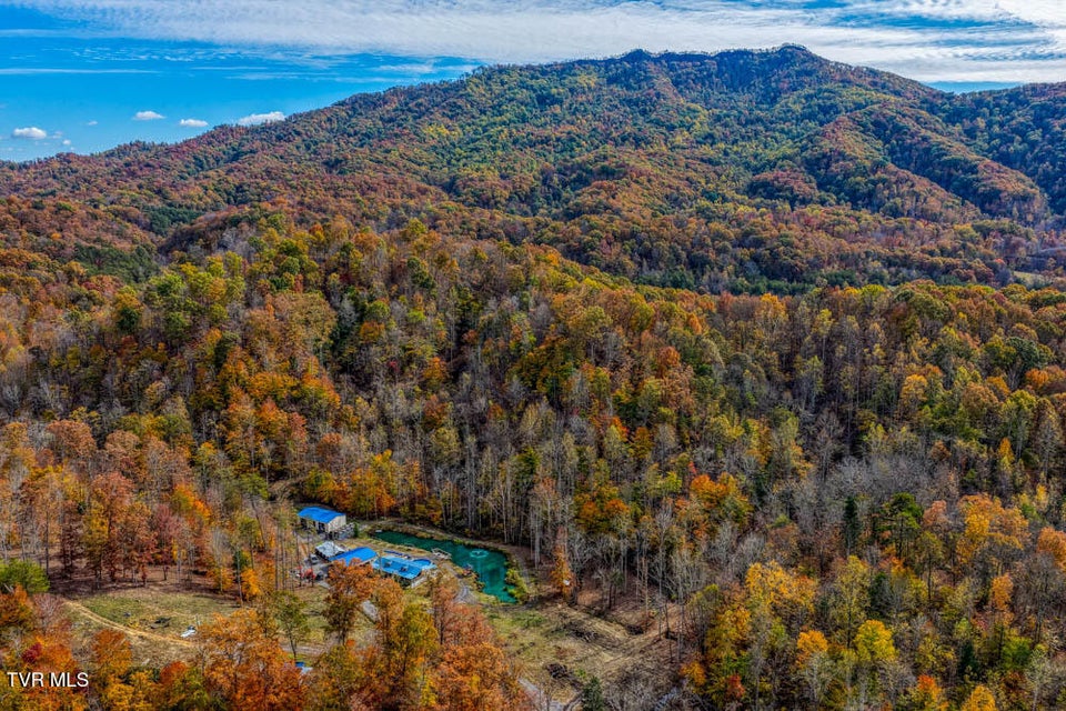 Photo #51: 3858 Beech Creek Road