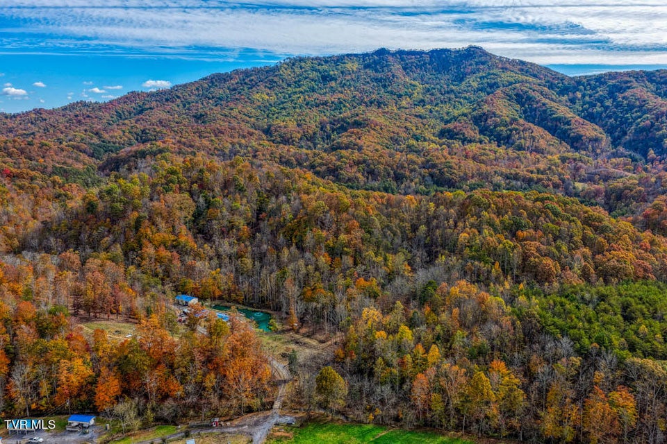 Photo #53: 3858 Beech Creek Road