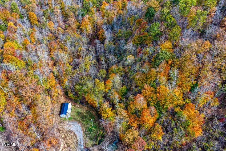 Photo #57: 3858 Beech Creek Road