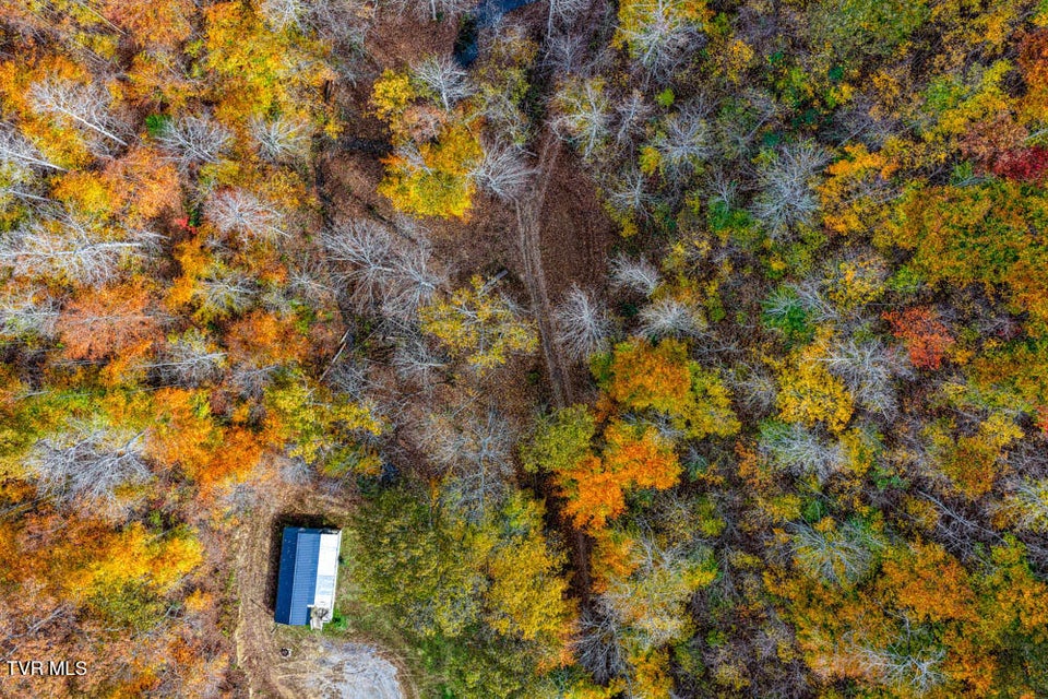 Photo #58: 3858 Beech Creek Road