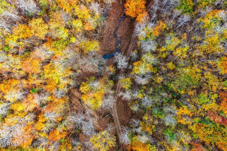 Photo #59: 3858 Beech Creek Road