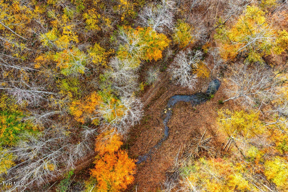 Photo #61: 3858 Beech Creek Road