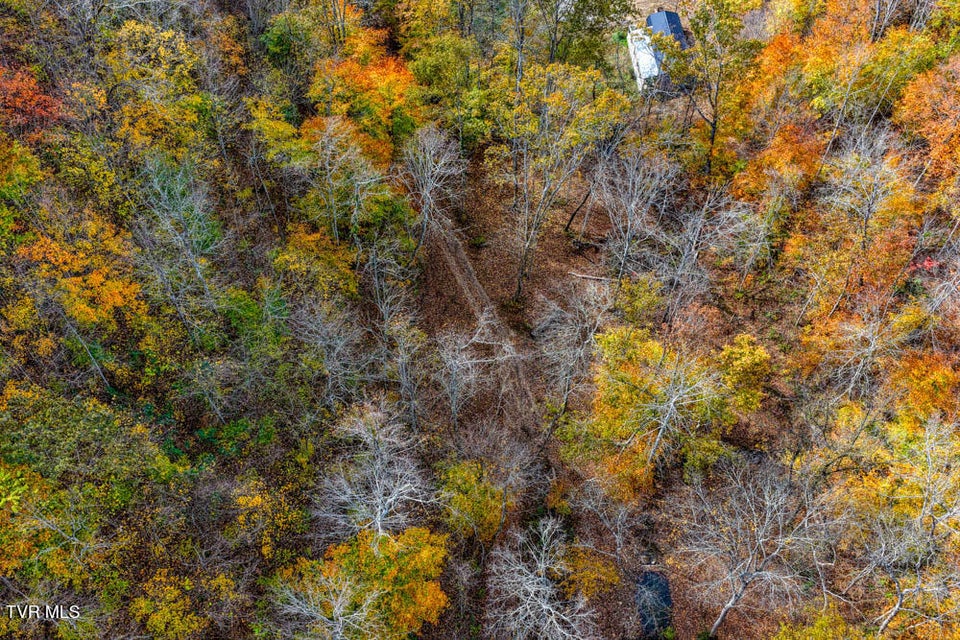 Photo #62: 3858 Beech Creek Road