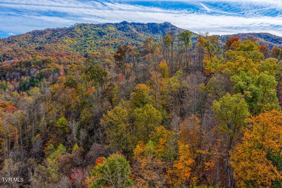 Photo #63: 3858 Beech Creek Road