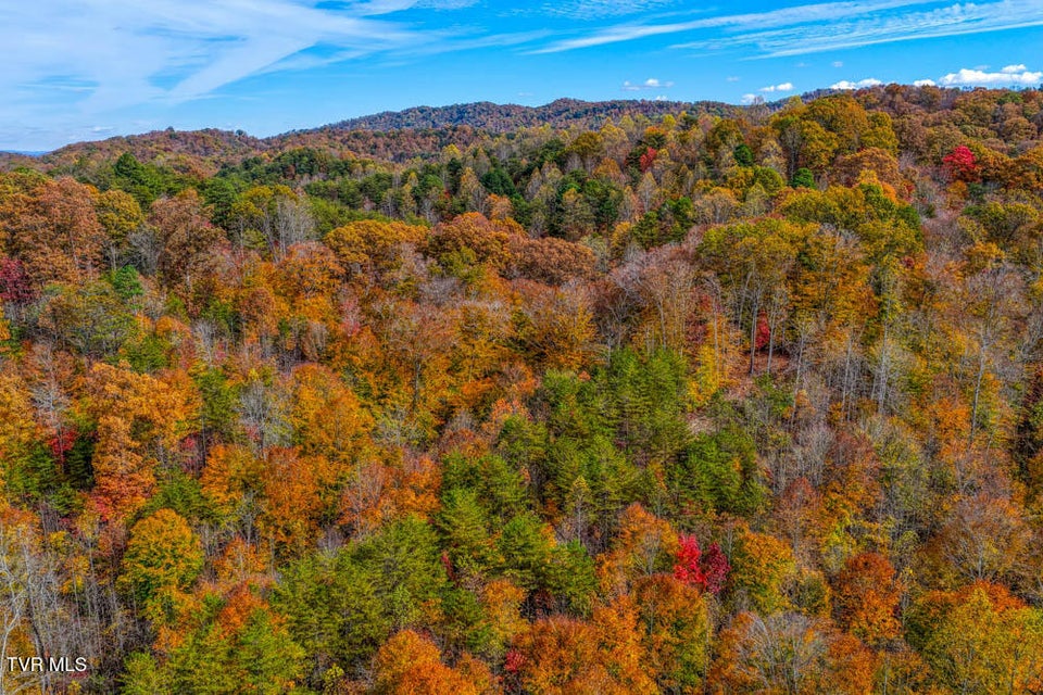 Photo #64: 3858 Beech Creek Road