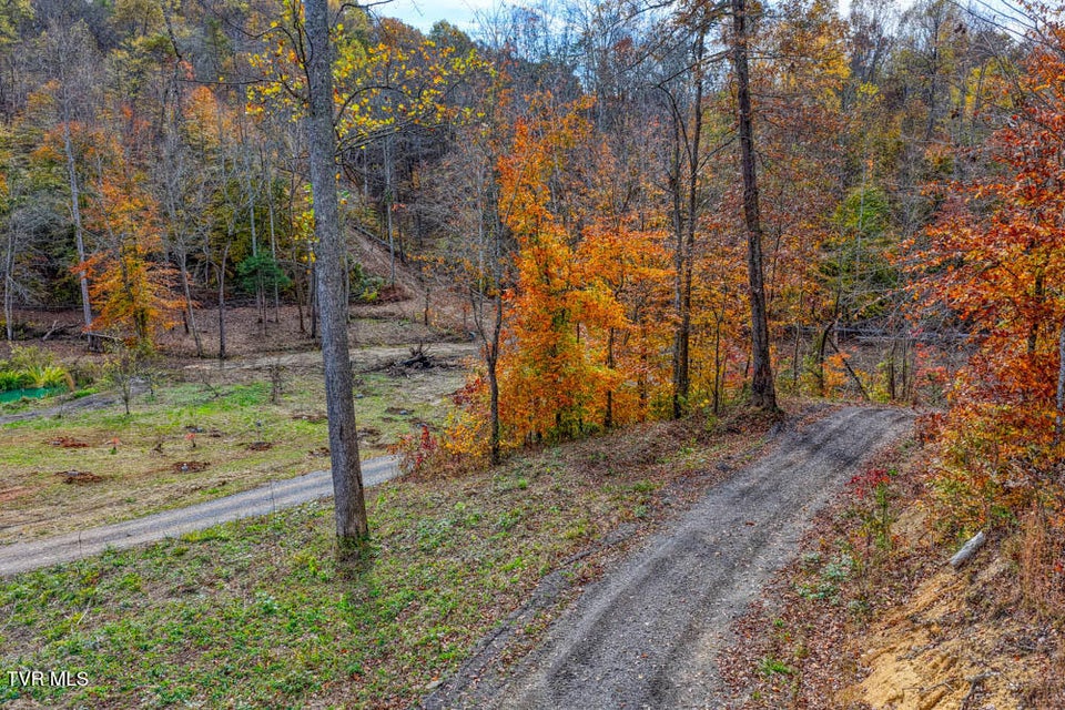 Photo #70: 3858 Beech Creek Road