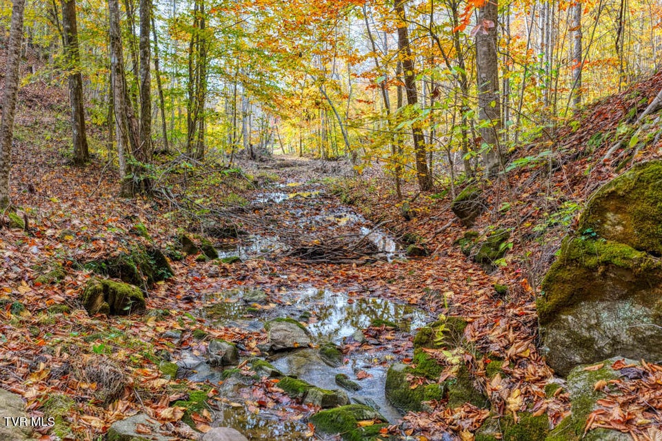 Photo #72: 3858 Beech Creek Road