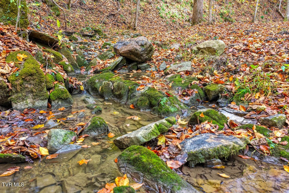 Photo #73: 3858 Beech Creek Road