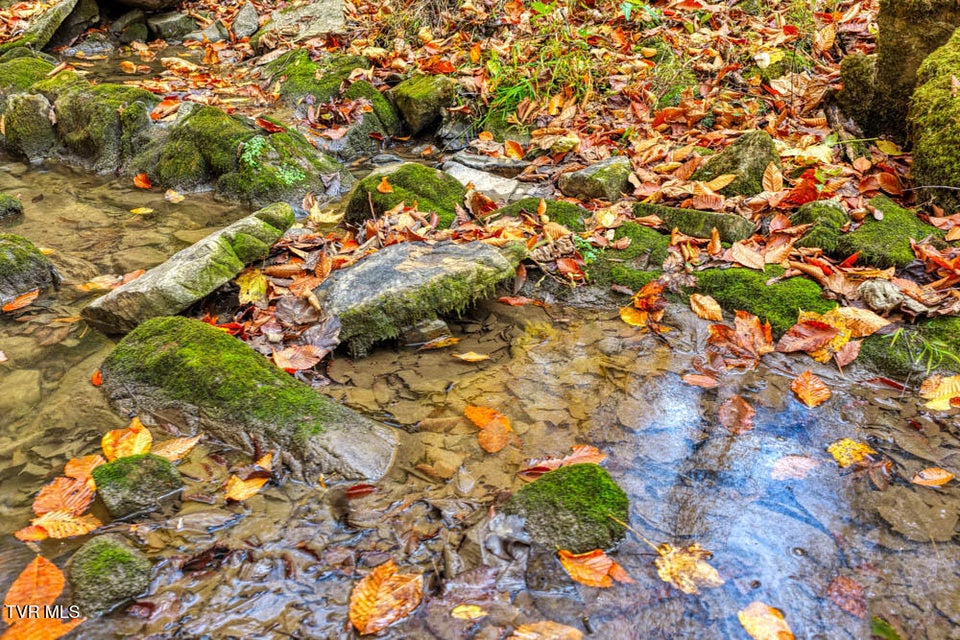 Photo #74: 3858 Beech Creek Road