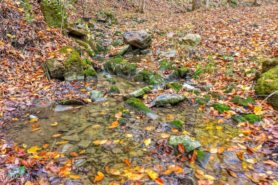 Photo #75: 3858 Beech Creek Road