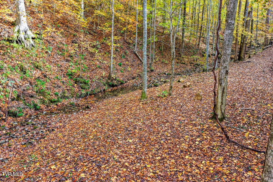 Photo #76: 3858 Beech Creek Road