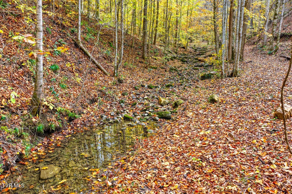 Photo #77: 3858 Beech Creek Road