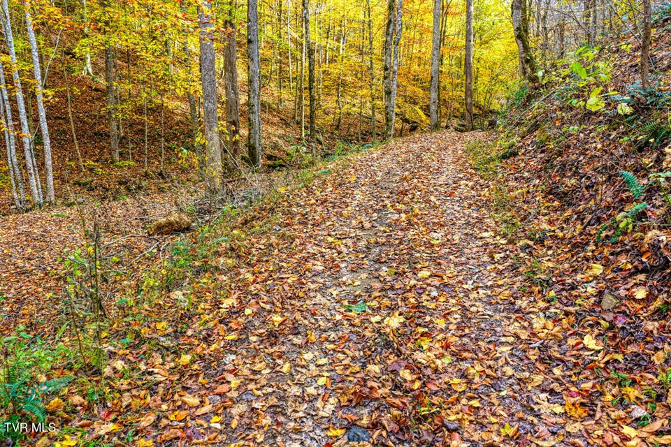 Photo #78: 3858 Beech Creek Road