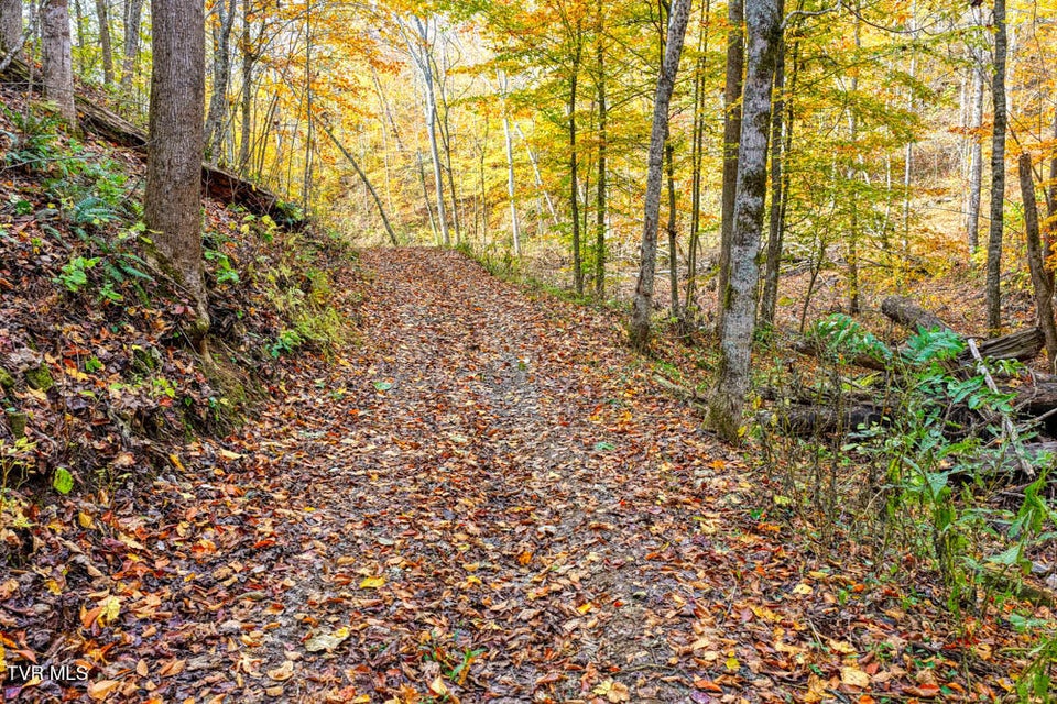 Photo #79: 3858 Beech Creek Road