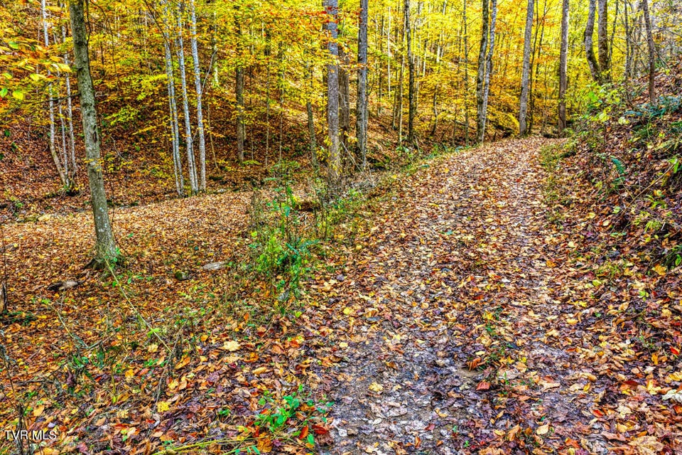 Photo #80: 3858 Beech Creek Road