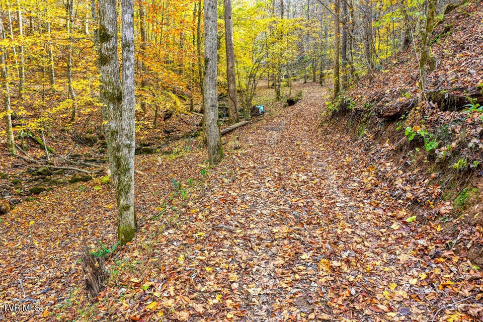 Photo #81: 3858 Beech Creek Road