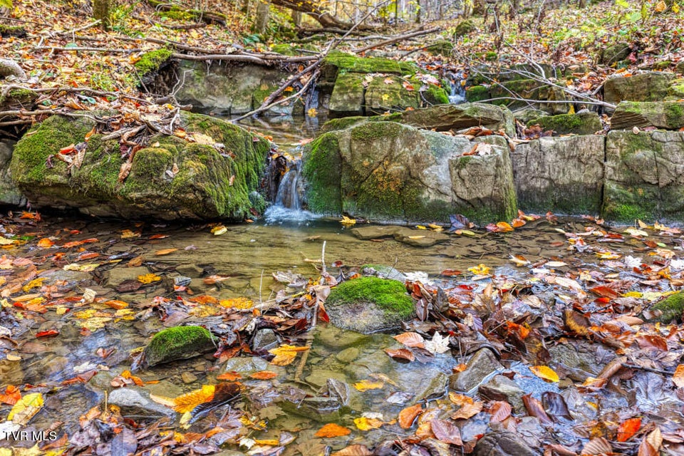 Photo #83: 3858 Beech Creek Road