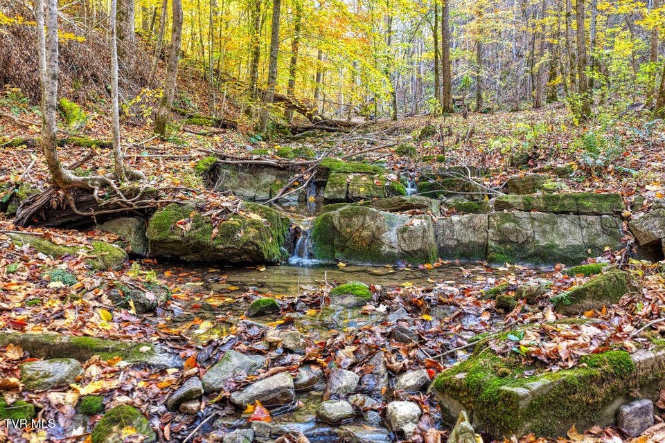 Photo #84: 3858 Beech Creek Road