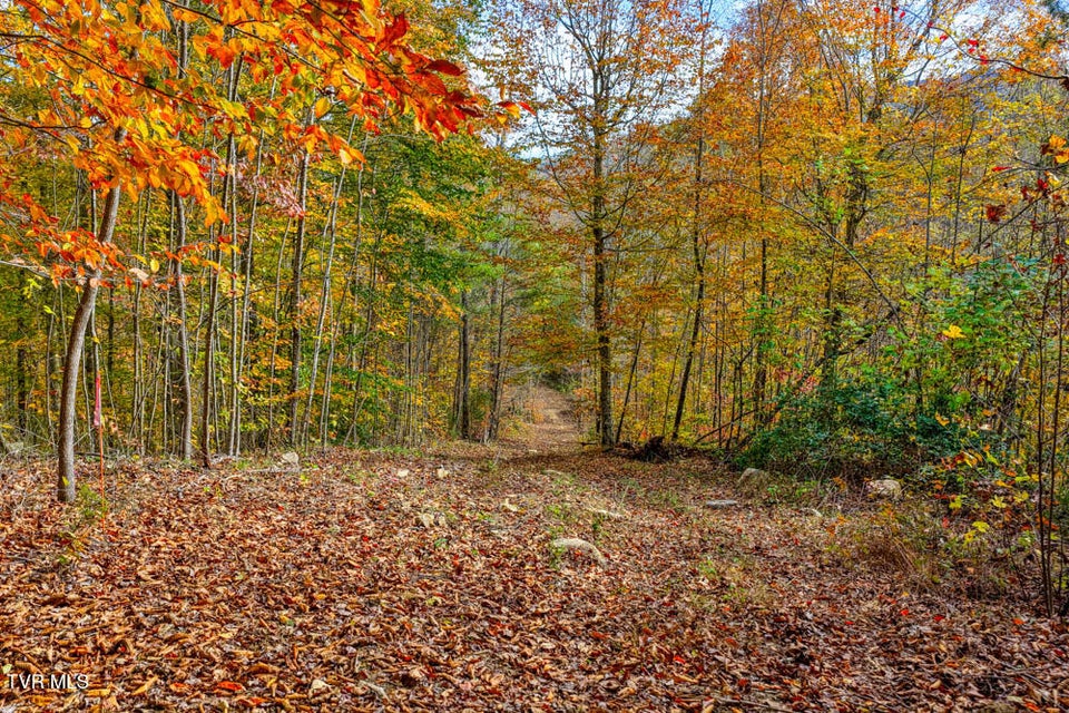 Photo #86: 3858 Beech Creek Road