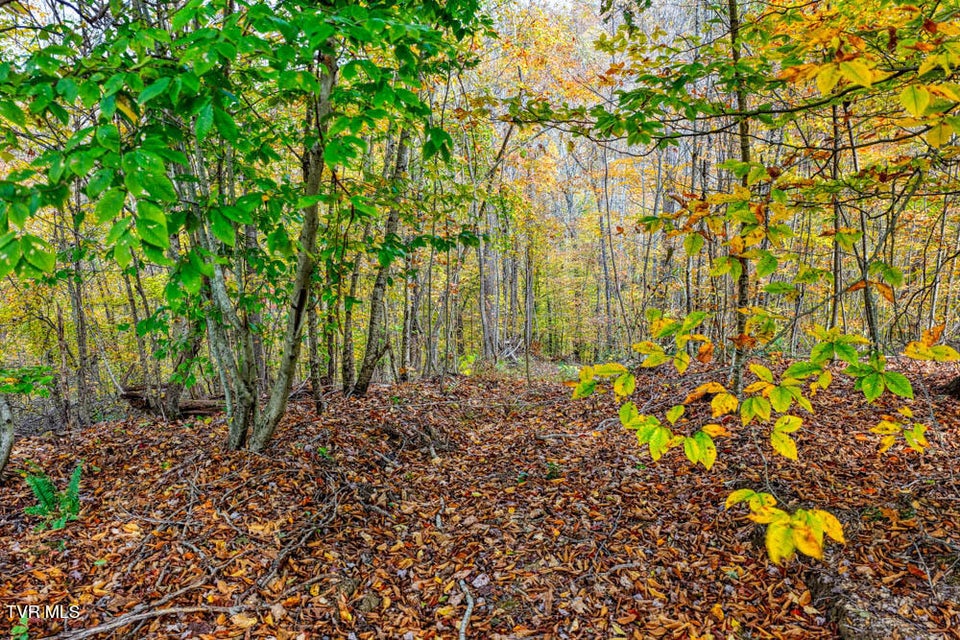 Photo #87: 3858 Beech Creek Road