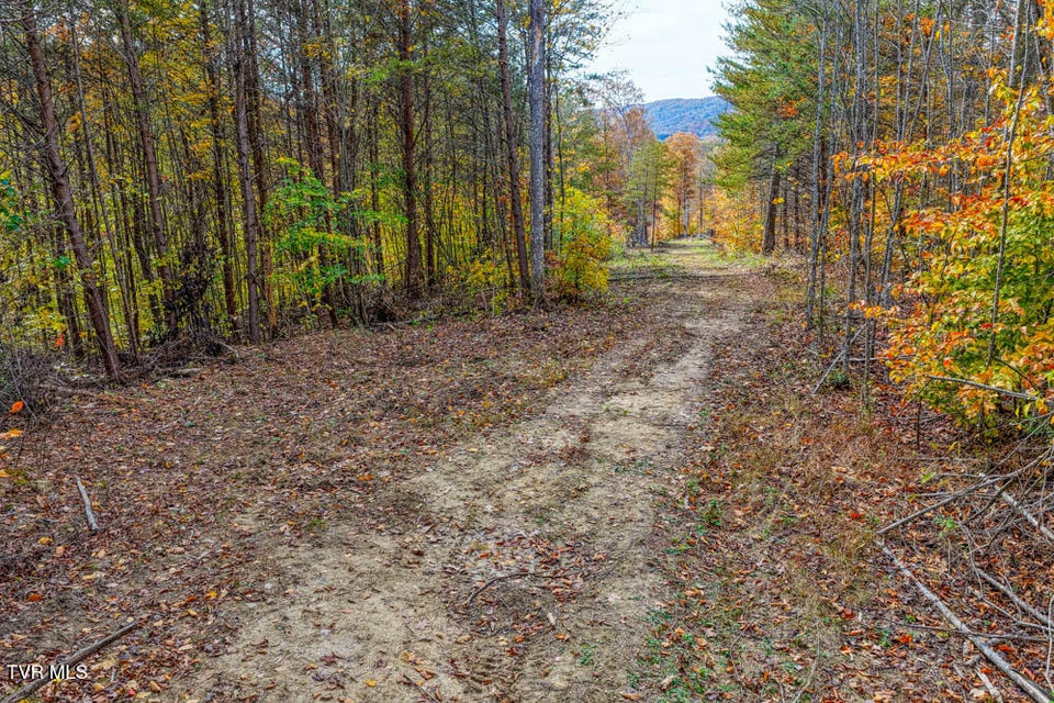 Photo #88: 3858 Beech Creek Road