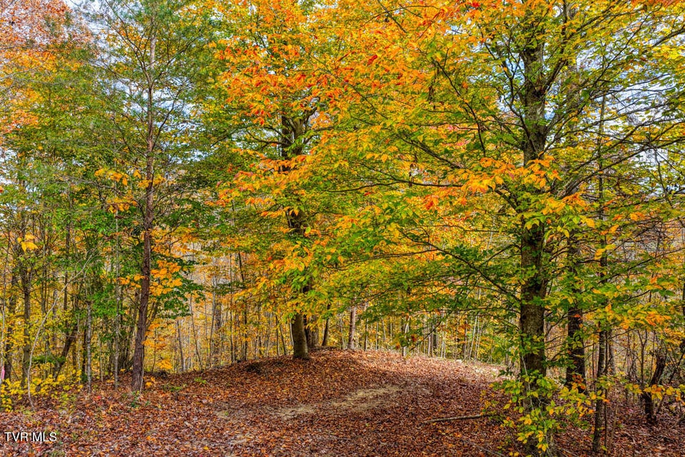 Photo #89: 3858 Beech Creek Road