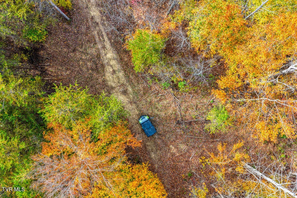 Photo #90: 3858 Beech Creek Road