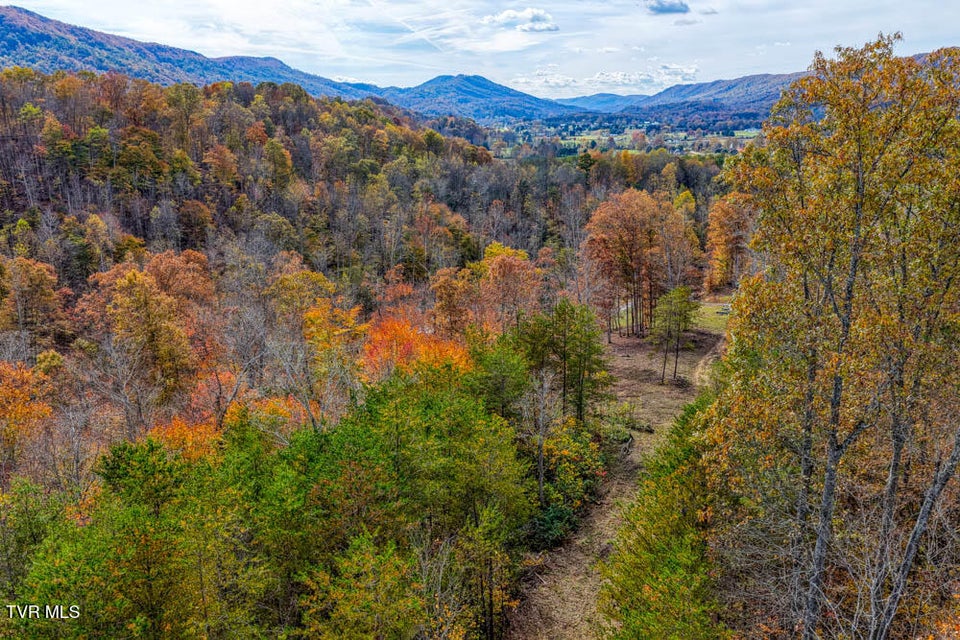 Photo #91: 3858 Beech Creek Road