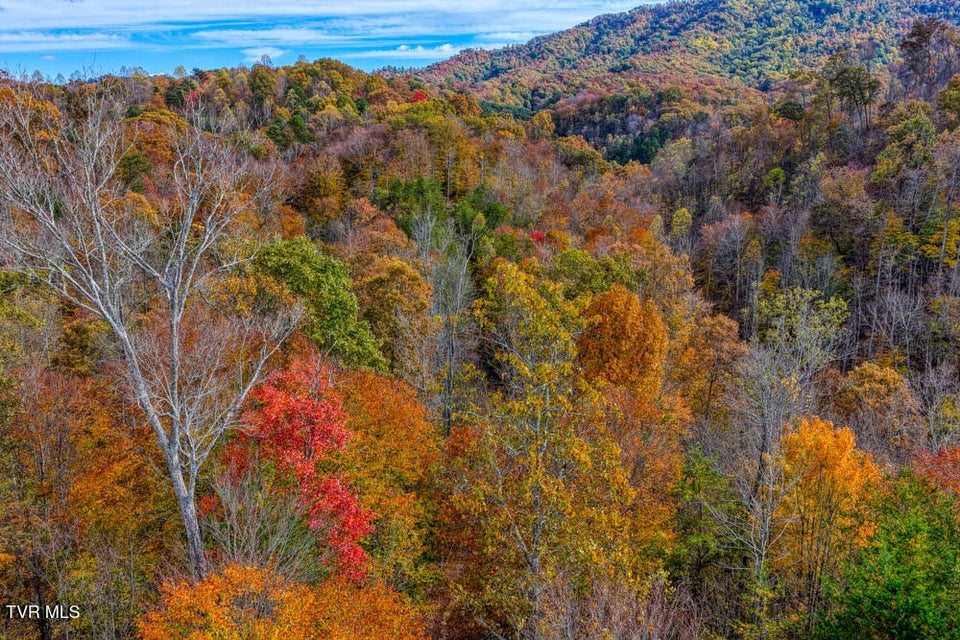 Photo #92: 3858 Beech Creek Road