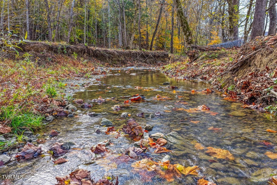 Photo #99: 3858 Beech Creek Road