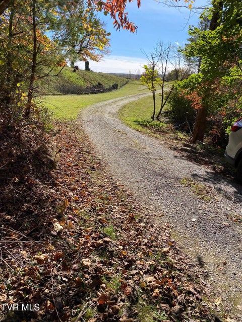 Photo #4: 12329 Crab Orchard Road