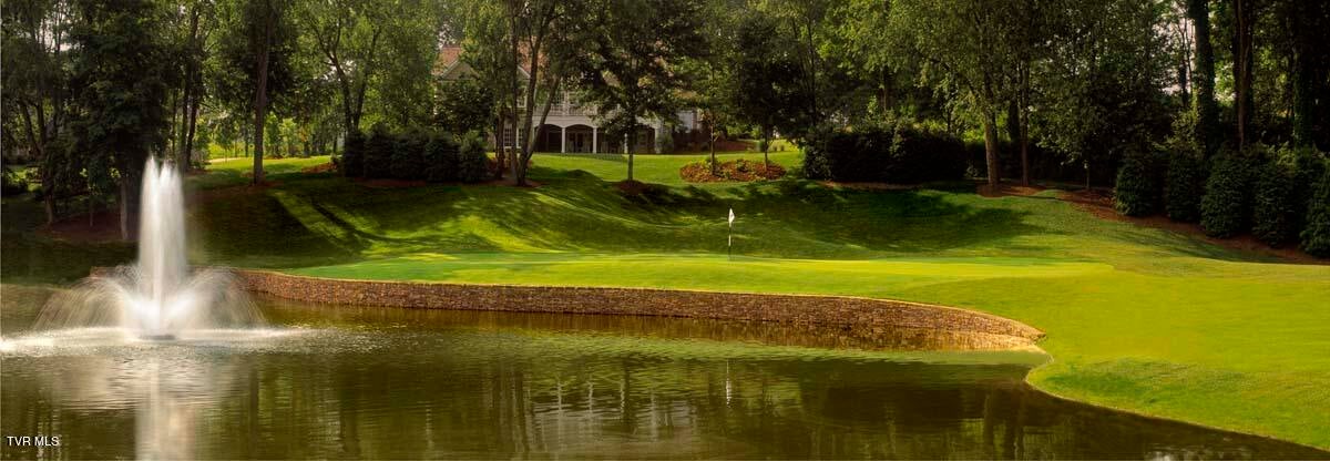 Photo #7: Tbd Virginia Trail