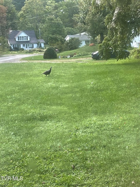 Photo #52: 141 Canter Road