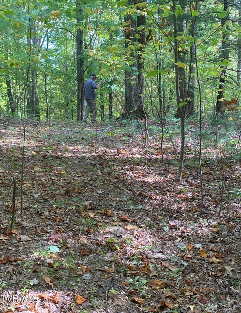 Photo #3: Tbd 000 Blackberry Hill Lane