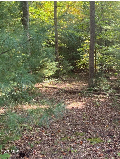 Photo #4: Tbd 000 Blackberry Hill Lane