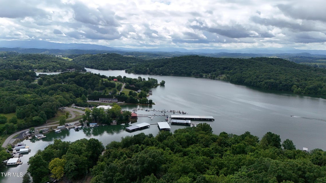 Photo #37: 411 Gammon Road