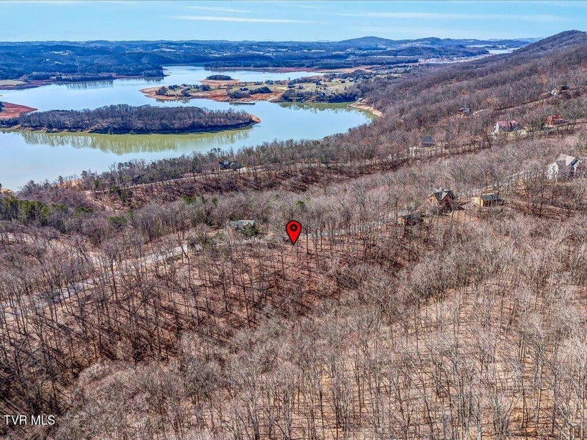 Photo #2: 273 Chelaque Way