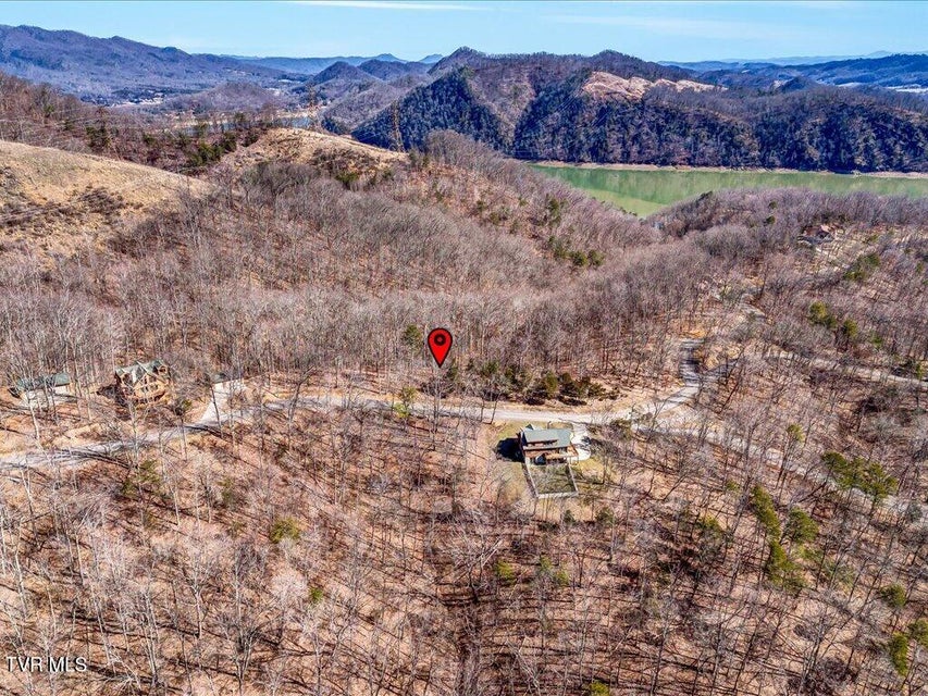 Photo #3: 273 Chelaque Way