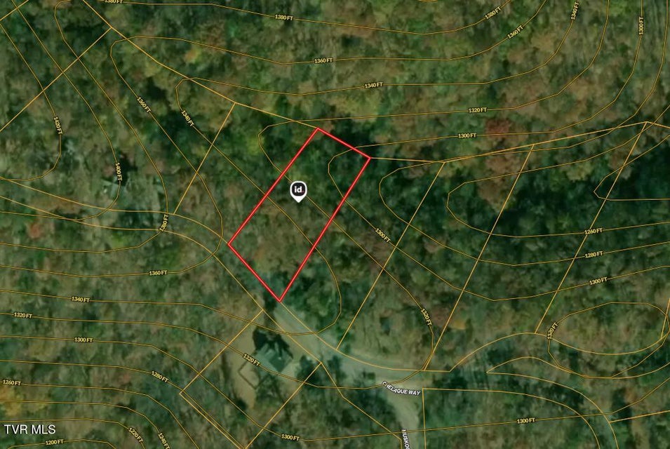 Photo #4: 273 Chelaque Way