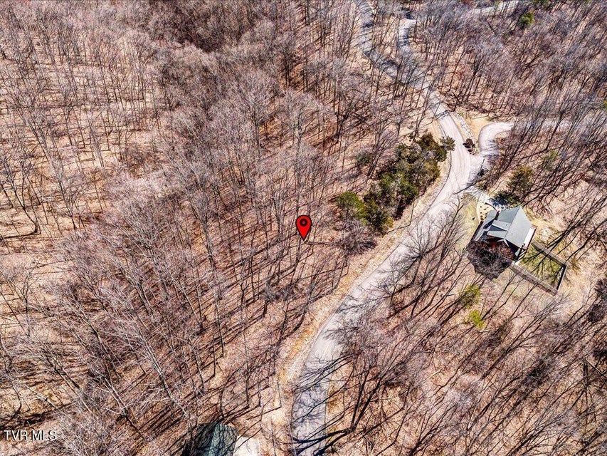 Photo #6: 273 Chelaque Way